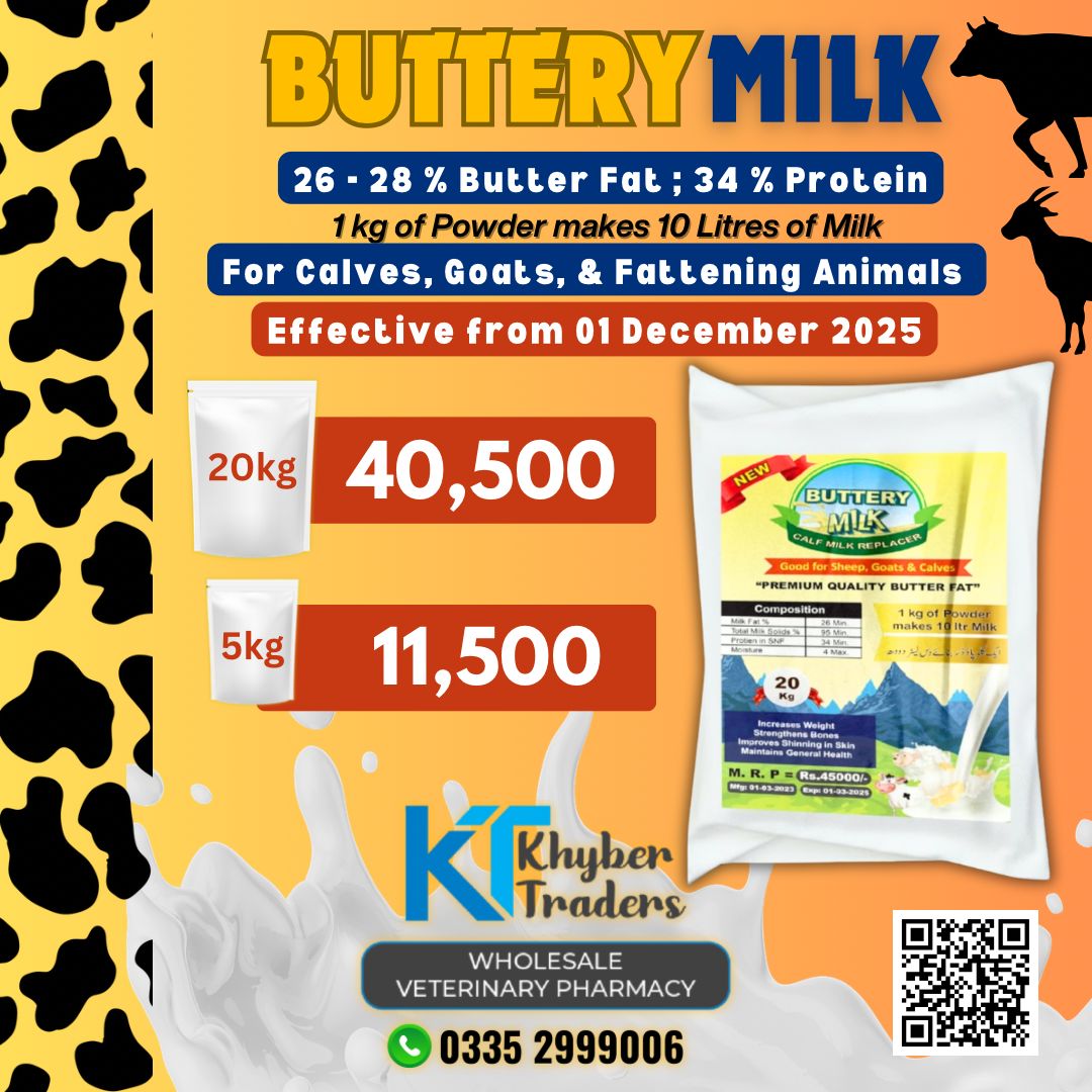 Buttery Milk Powder (CMR) (26-28% Milk Fat with 34% Protein) — Butter Milk for Fattening Cattle | Khyber Traders
