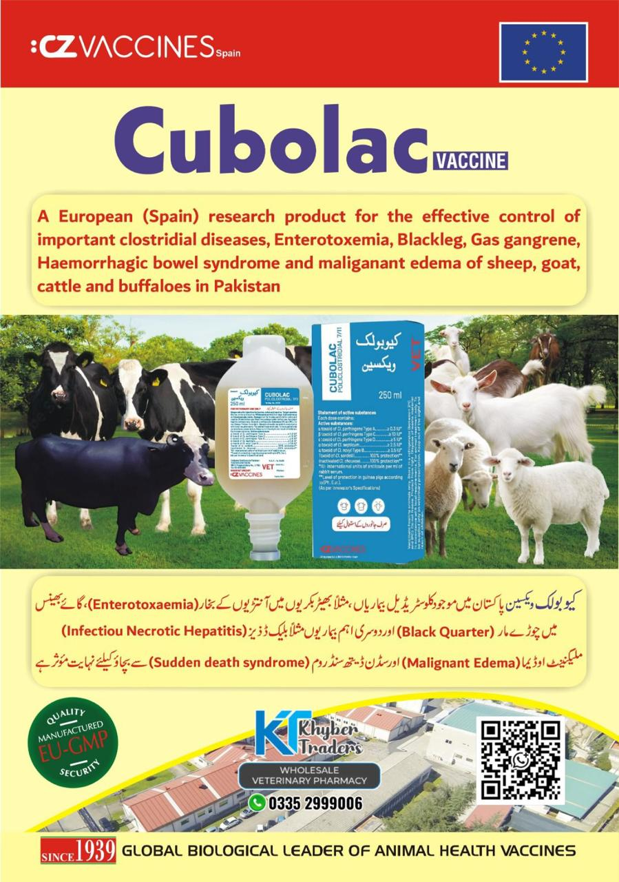 CUBOLAC 100ml (SPAIN) — Vaccines | Khyber Traders