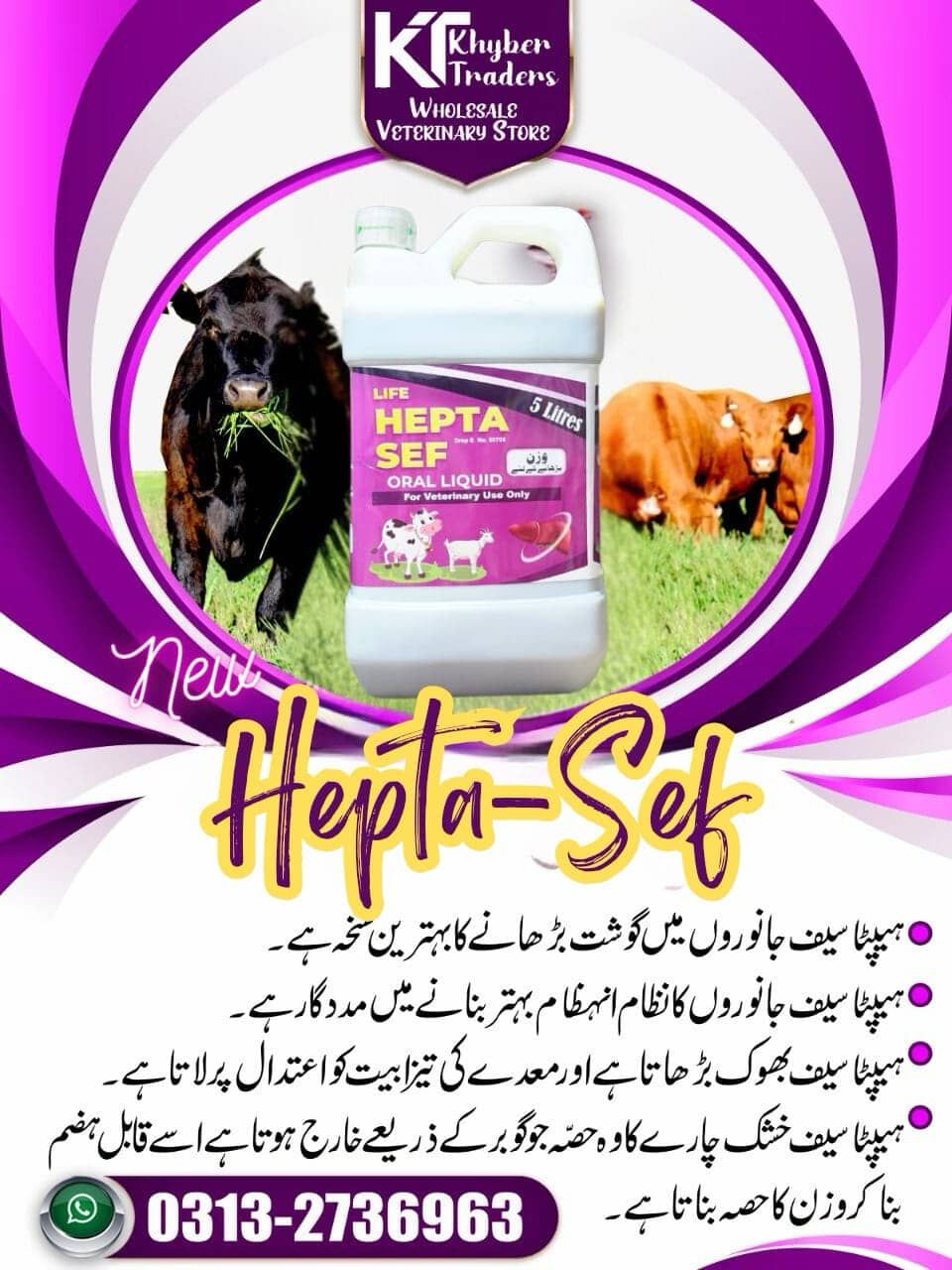 HeptaSef Liver Tonic 1 & 5 Litre — Liver Tonic / Growth Promoter / Digestive Support | Khyber Traders