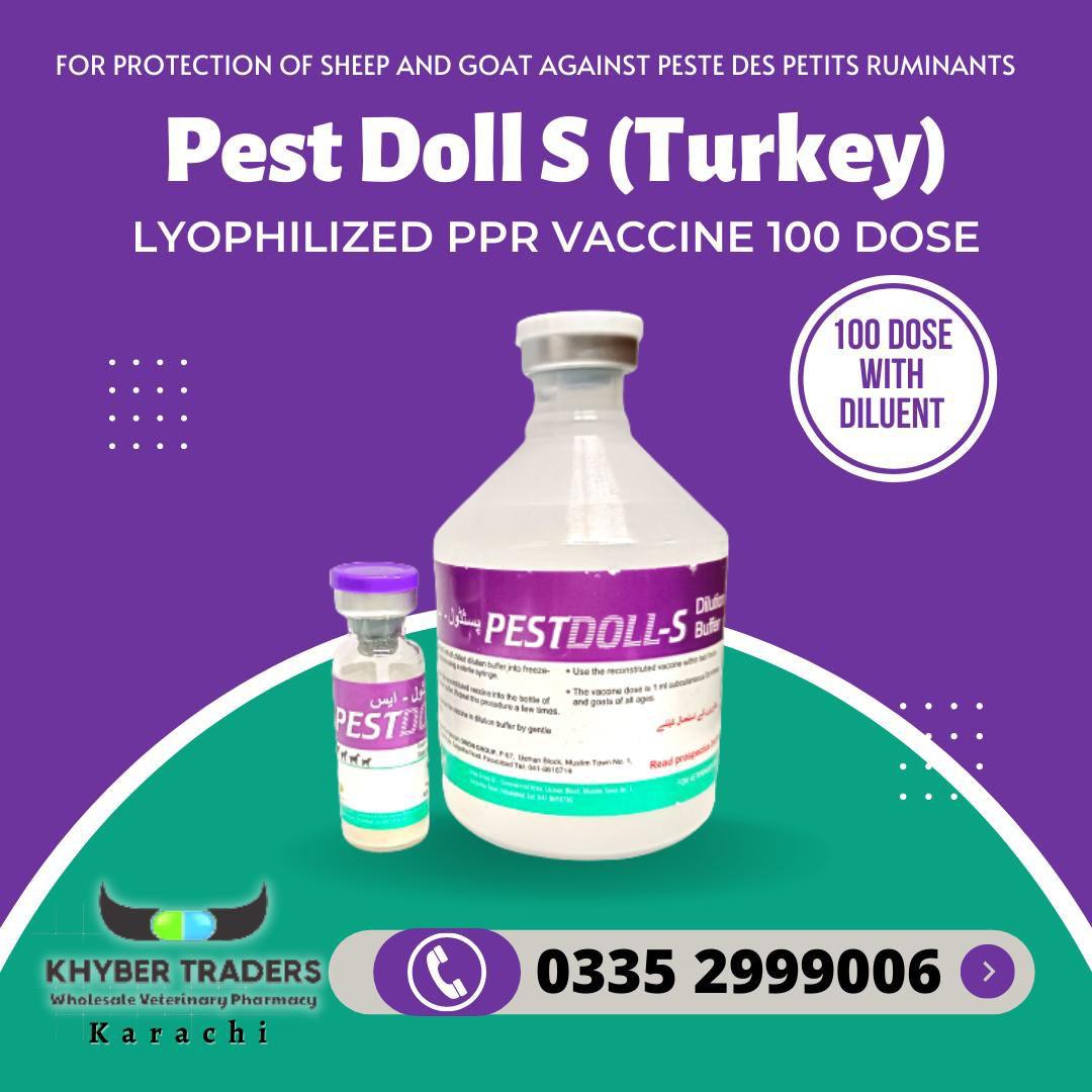 PPR Vaccine Turkey (100 dose) — Vaccines | Khyber Traders